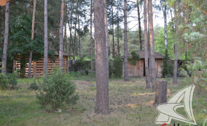 Купить дом, Костычи, Клейниковский с/с, 25 соток. Фото 27