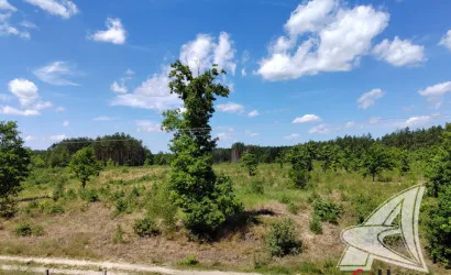  2-этаж.(99.86 м2), Збунин(Знаменский с/с)