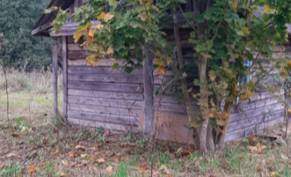 Купить участок, Боярск, 17, 25 соток. Фото 3