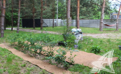 Купить дом, Жабинка, Ракитницкий с/с, 9.73 соток. Фото 19