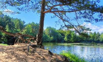 Снять 2-комнатную квартиру на сутки, Лиозно, Молодежная, 6А. Фото 9