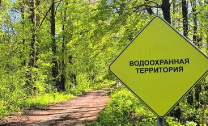  31.3 м2, Понемонь
