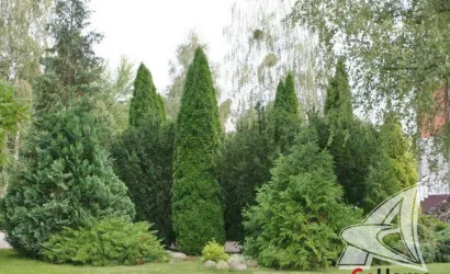  2-этаж.(43 м2), Мухавец(Мухавецкая, 1)