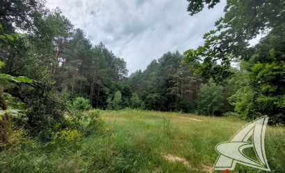 Купить дом, Хомутины, Новицковичский с/с, 25 соток. Фото 11