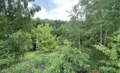 Купить участок, СТ Магистраль, 7 соток. Фото 4