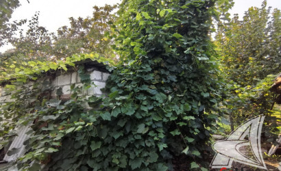 Купить дом, Жабинка, г. Жабинка, 12.18 соток. Фото 10