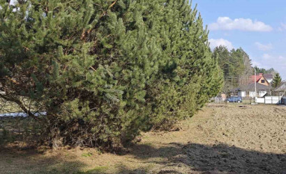 Купить участок, Мочаны, Заречная, 33Б, 11.94 соток. Фото 25