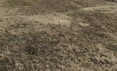 Купить участок, СТ Лесное-90, 7.44 соток. Фото 10