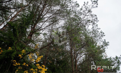 Купить дом в деревне, Зеленый дол, 4.37 соток. Фото 34