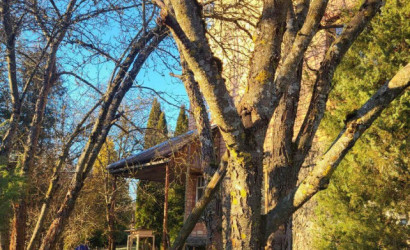 Купить дом в деревне, ЗЕЛЁНАЯ ДУБРАВУШКА, 12.33 соток. Фото 29