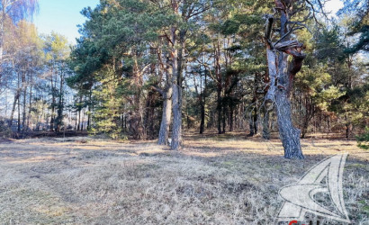 Купить участок, Брест, Сад. товарищества, 13.11 соток. Фото 25