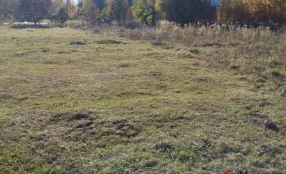  Антонишки(Центральная)