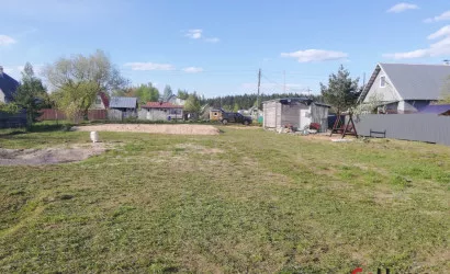  Шипяны(Прекрасная)