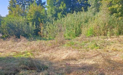 Купить участок, Падеричи, Центральная, 12 соток. Фото 4