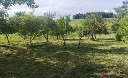  Капличи
