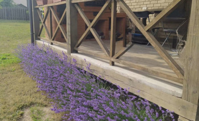 Купить дом, Ольгово, Дачная, 23.78 соток. Фото 24