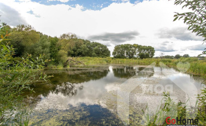 Купить дом, Косута, Солнечная ул., 10 соток. Фото 11