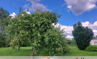 Купить дом, Красная Нива, Лесная ул., 25 соток. Фото 28