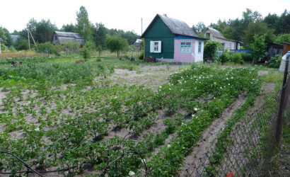 Купить дачу, Марковичи, СТ «Сосновый бор-2», 12.4 соток. Фото 8