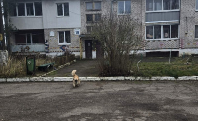 Купить 2-комнатную квартиру, Моторово, Полевая ул., 19. Фото 18