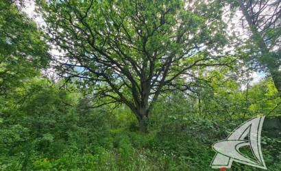 Купить дом в деревне, Ходосы, Ленинский с/с, 16.79 соток. Фото 18