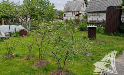 Купить дачу, Брест, Мухавецкий с/с, 5.03 соток. Фото 28