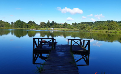 Купить дачу, Каролино, 29, СТ Калинка, 5.1 соток. Фото 3