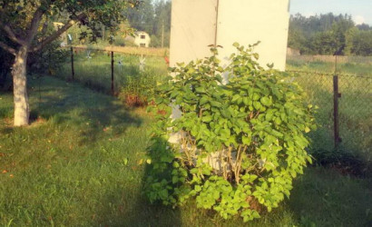 Купить дом в деревне, Верейцы, 10 соток. Фото 9