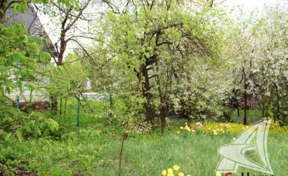 Купить участок, Брест, Чернинский с/с, 5.31 соток. Фото 3