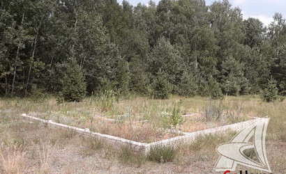 Купить участок, Домачево, Домачевский с/с, 20.37 соток. Фото 4