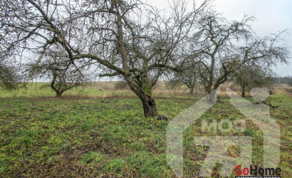 Купить дом, Талуи, 50 соток. Фото 16