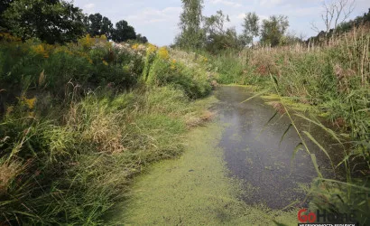  2-этаж.(138.1 м2), Збаровичи(Солнечная)